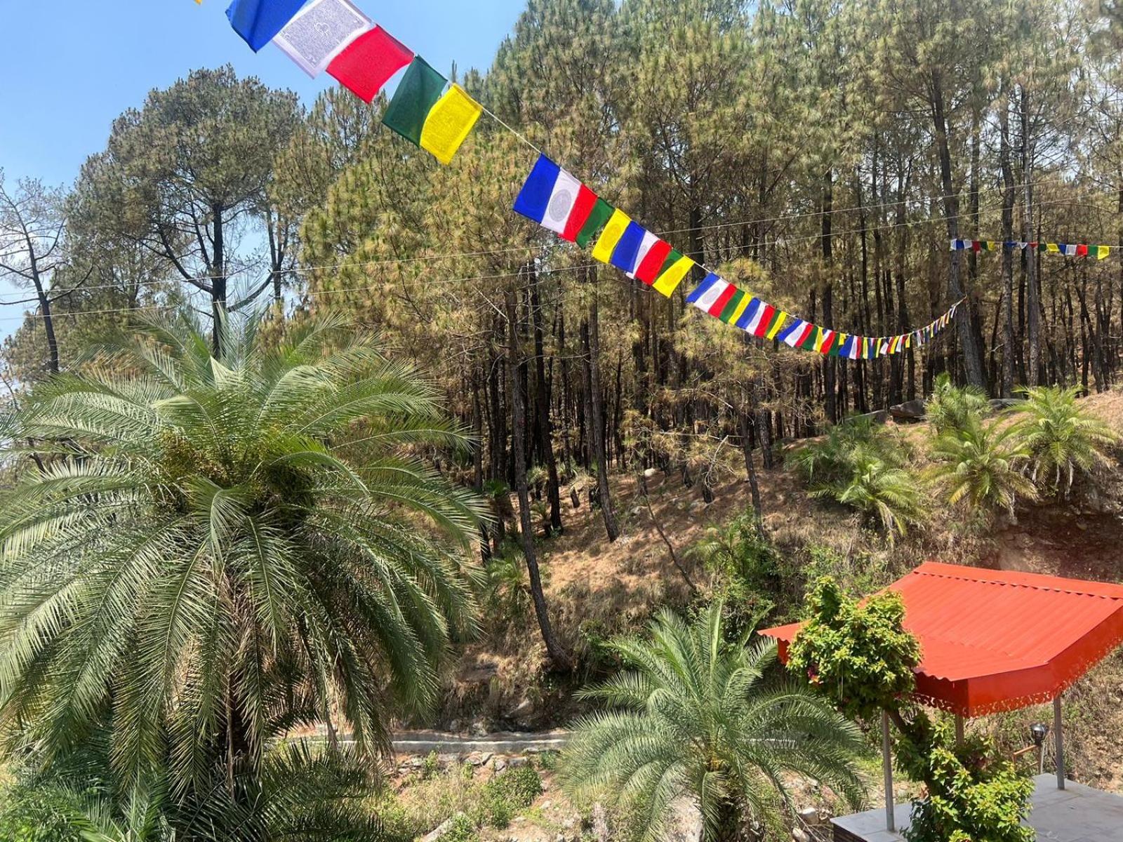 Tathastu Bir -Homestay ,Dorm,Hostel المظهر الخارجي الصورة