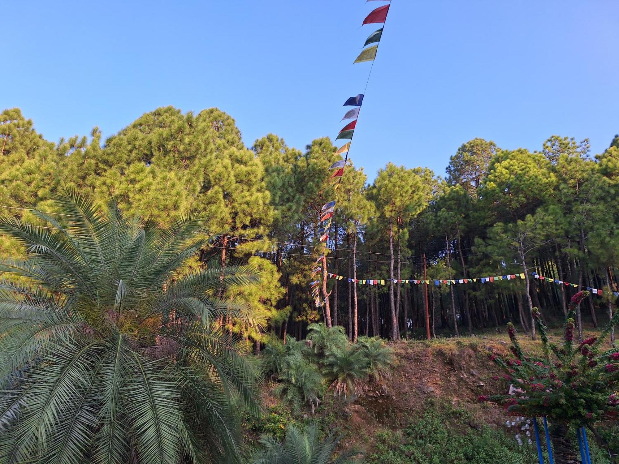 Tathastu Bir -Homestay ,Dorm,Hostel المظهر الخارجي الصورة