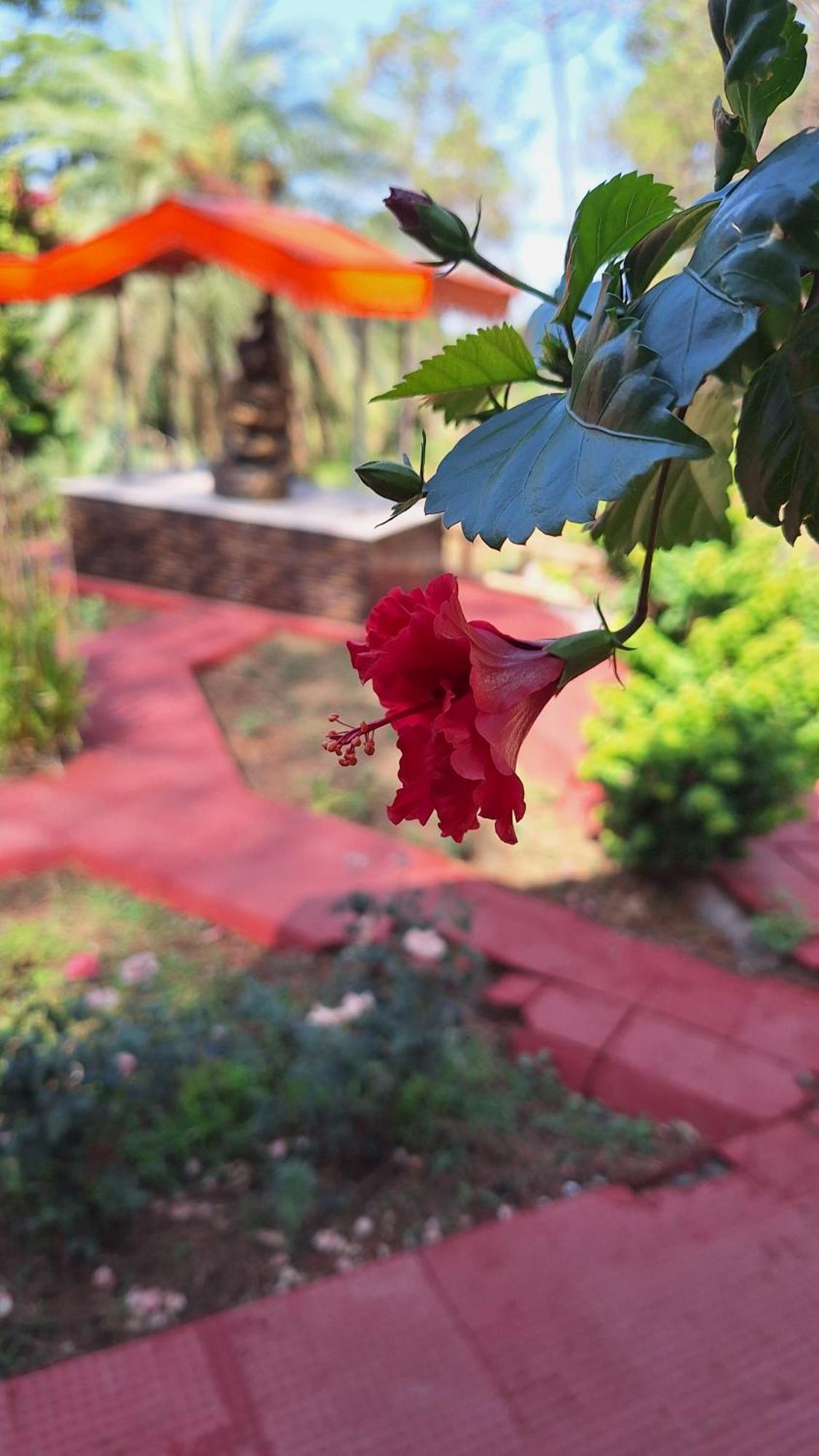 Tathastu Bir -Homestay ,Dorm,Hostel المظهر الخارجي الصورة