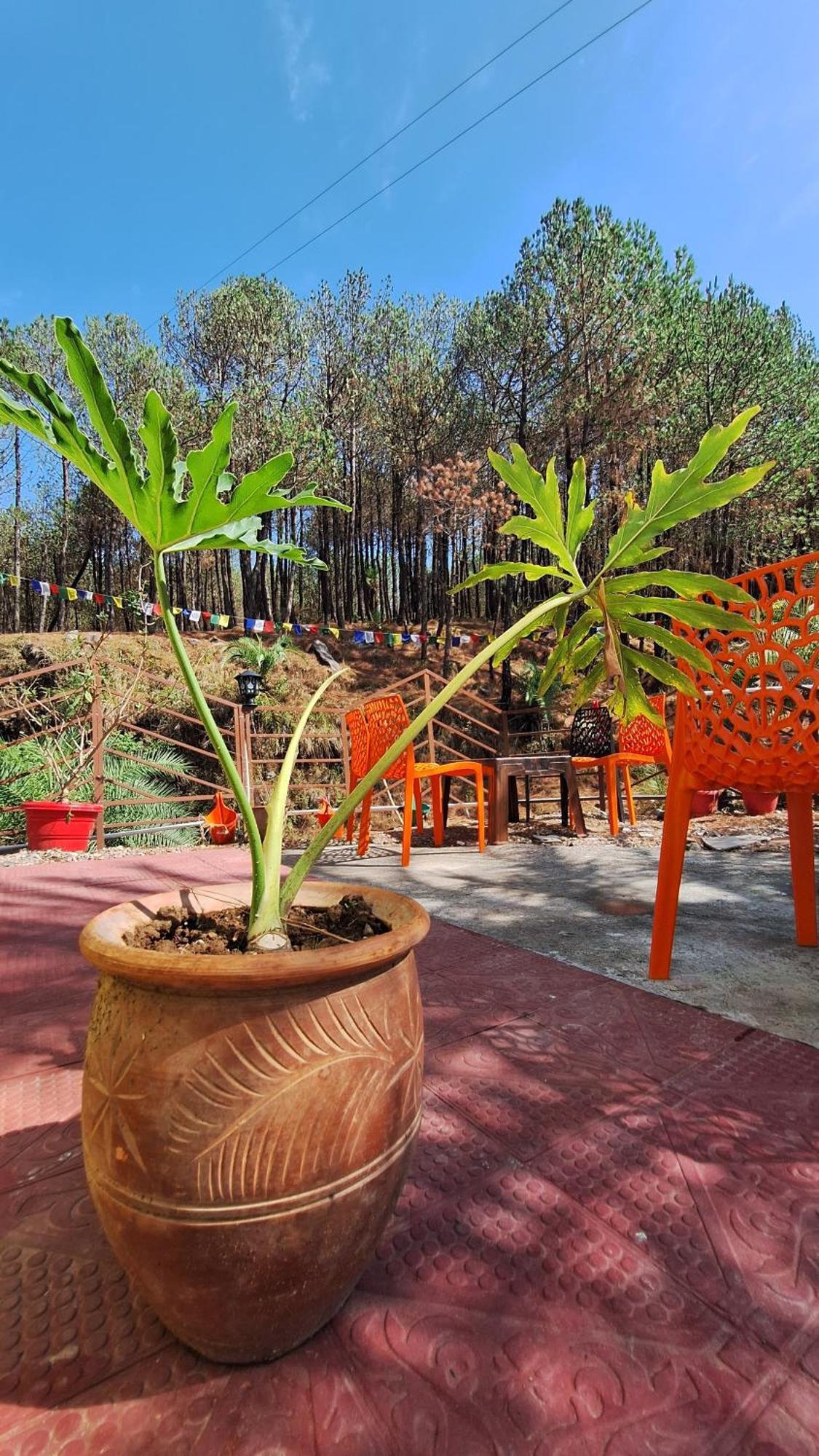 Tathastu Bir -Homestay ,Dorm,Hostel المظهر الخارجي الصورة