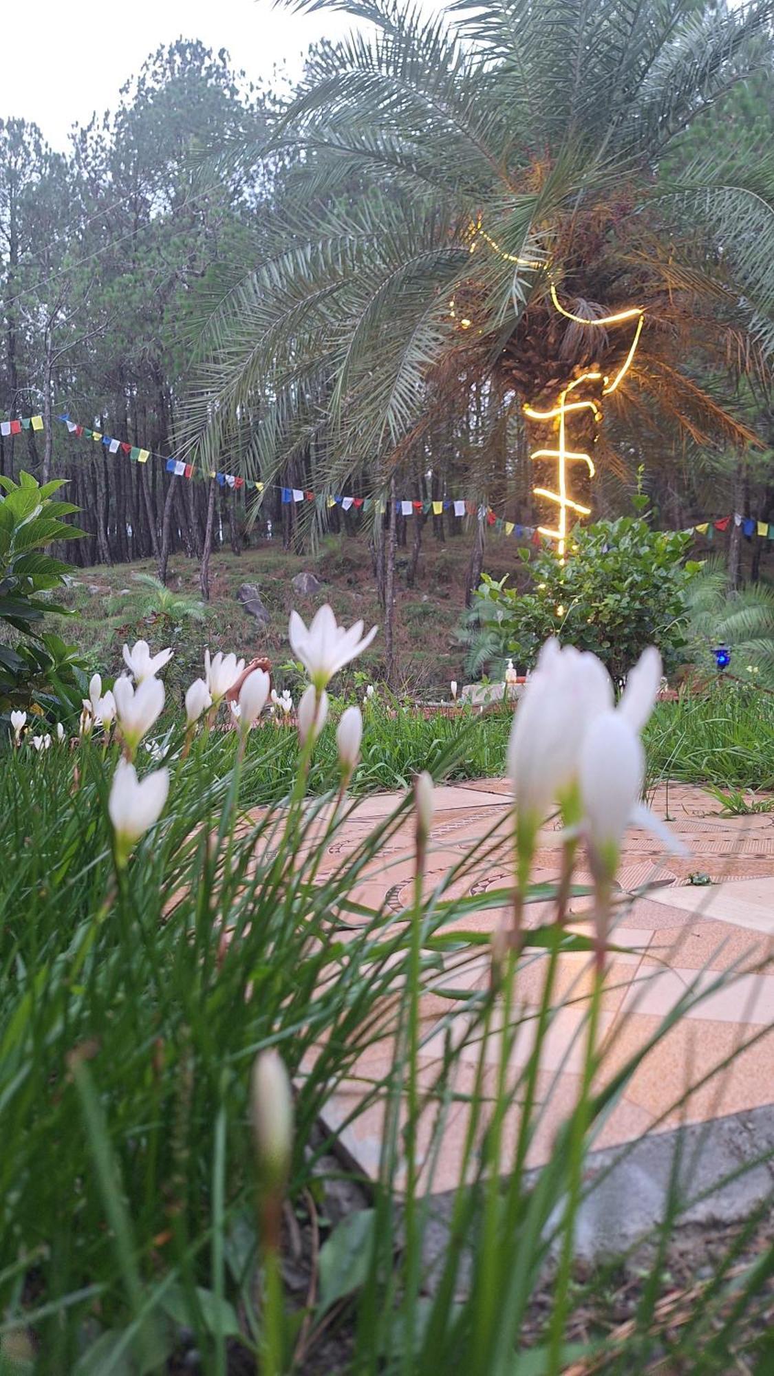 Tathastu Bir -Homestay ,Dorm,Hostel المظهر الخارجي الصورة