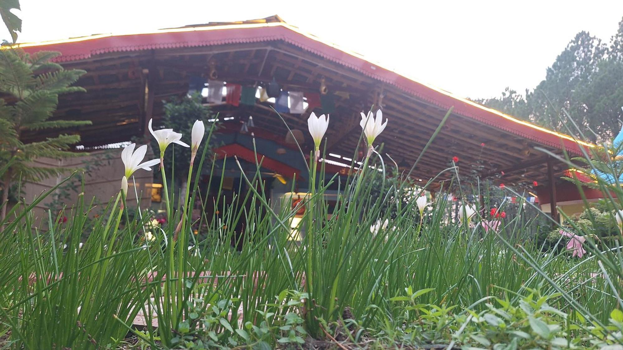 Tathastu Bir -Homestay ,Dorm,Hostel المظهر الخارجي الصورة
